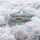 1100로 이미지