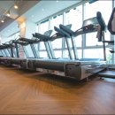 레드핏휘트니스 이미지