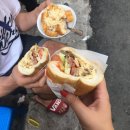 포고하노이 이미지
