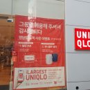 강남역 유니클로 인증샷 이미지