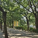 종합운동장 파크골프장 | [서울/송파] 잠실종합운동장파크골프장