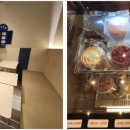 테라부동산중개 이미지