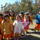 압해서초등학교 병설유치원 더 한국타임즈