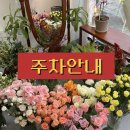 꽃희화