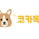 코카애견