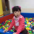 꽃피는 이미지