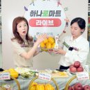 사과집 이미지