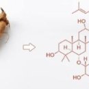 인삼약국 이미지