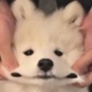 우리수학학원 이미지