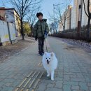 슈슈댕 구래점 | 김포 구래동 구래역 애견 셀프목욕 &lt;슈슈댕&gt; 후기