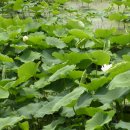 합천군산림조합 이미지