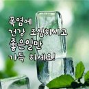 복 날의 전복 구이 [잘난 사람 영상 글] 이미지