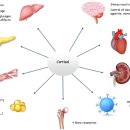 구성동물병원 이미지
