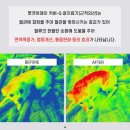 레이동물병원 이미지