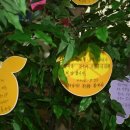 부산북부고용센터 이미지