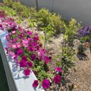 행복나무 요양원 이미지