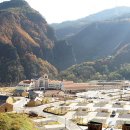 하이원추추파크 이미지