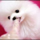 몽글몽글 이미지