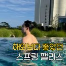 정팰리스 | 빌라쥬 드 아난티 스프링팰리스 2026 이용요금 가격 총정리 (수영장 4개 비교)