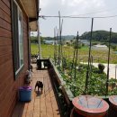 가내초교 인근 이미지