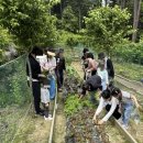 가평힐링캠프 이미지