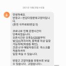 반갑다창문밖고양이 이미지