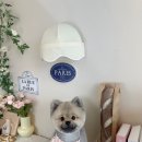 씻을개 네이버블로그
