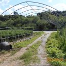 마전리진료소 이미지