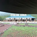 세렝게티 | [올리여행] 🌍 세렝게티 사파리 숙소 후기｜세렝게티 텐티드 롯지 Serengeti Safari Haven Lodge