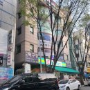 티플러스테니스 | 분당실내테니스 분당스크린테니스 [ 티플러스테니스] 후기