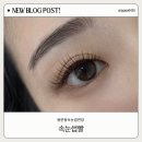 속눈썹빨 - 포항시 남구 | 대전 용문동속눈썹연장 속눈썹빨 후기