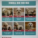 견생 이발소 이미지