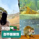 댕스포유 | 청주 아이랑 가볼만한곳 추천 놀거리 청주동물원 가족여행 입장료