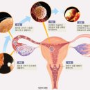 창조주의 이미지