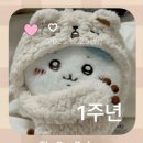 남원종로약국 | 연말을 마무리하며..🫶 해피 뉴이어!! [ 월간 몽춘 - 12월 호 ]