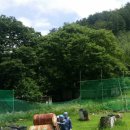 강촌테마랜드 이미지