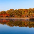 꽃동산어린이공원-2 이미지