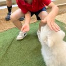 북일초등학교 | [청주 주중동] 실내동물원 이색데이트 "버드앤쥬" #아이들과가볼만한곳