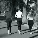 금성 복싱체육관 이미지