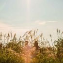 삶의 여유 상암 억세풀 축제 추천드립니다. 이미지