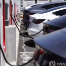 똘래랑스 이미지