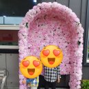 아라애쌈밥 | 함안쌈밥 함안맛집 아라애 온가족 맛있게먹었어요