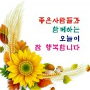 아모레카운셀러 이미지