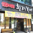 황제복어 이미지