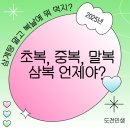2025년 초복 중복 말복 날짜 삼복 복날 의미와 여름 몸보신 음식 베스트 7