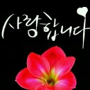 한솔사 이미지