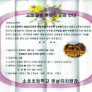 소초초등학교 이미지