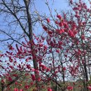 하서2리마을기업 | 만에 또 간 충북 충주 깊은산속옹달샘 | 내돈내산 아쉬움 후기 |웰니스 여행 봄날애 자연명상 4인 스테이