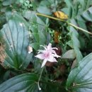 성수산자연휴양림 이미지