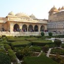 공존의표상 이미지